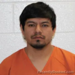 Mugshot of WUILMER BALDOMERO REYNOSO GABRIEL