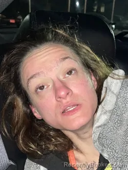 Mugshot of MEGAN ROACH