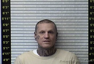 Mugshot of BRADLEY JOE WILSON
