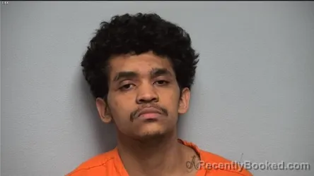 Mugshot of DYLAN L SANCHEZ