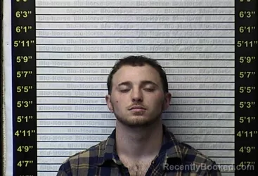 Mugshot of TRACE E WILLIAMS