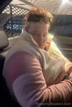 Mugshot of JAIMIE L BETHEL