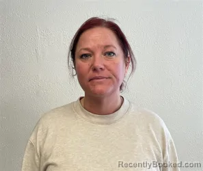 Mugshot of AMBER FRANCE