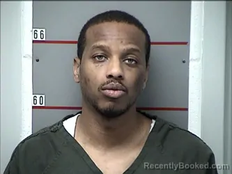 Mugshot of BRISON D STEPHENSON