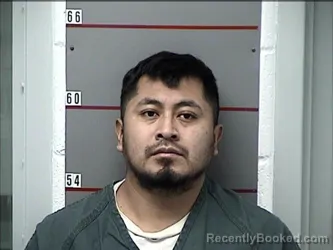 Mugshot of JOSE SALINE-ORTIZ