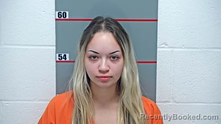 Mugshot of ALISON W VINCENT