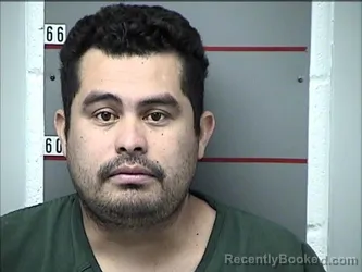 Mugshot of DARWIN PENA-ALEJO