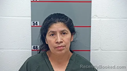 Mugshot of ENMA JIMENEZ-ANDRES