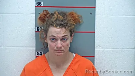 Mugshot of BIANICA L DAY