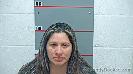 Mugshot of VICENTA FLORES-ALFARO