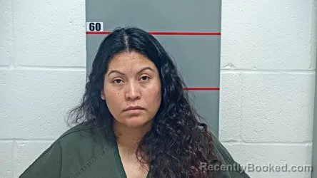 Mugshot of MARIA ASCENCION-FLORES