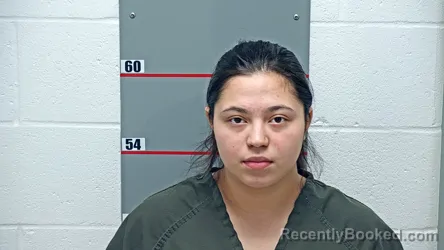 Mugshot of LIZBETH MONTES-PEREZ