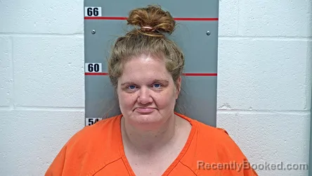 Mugshot of HEATHER N YORK