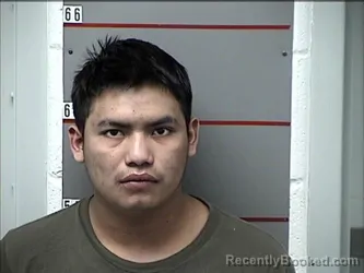Mugshot of DIEGO DOMINGO-LUCAS