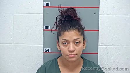 Mugshot of HEYMI BORJAS