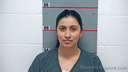 Mugshot of LISMAR RANGEL-GARCIA