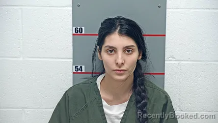 Booking photo from Grayson County, Kentucky