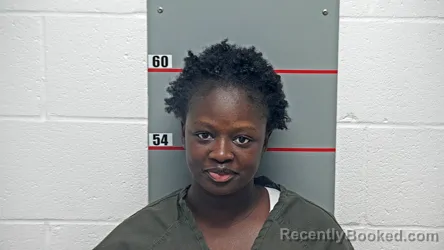 Booking photo from Grayson County, Kentucky