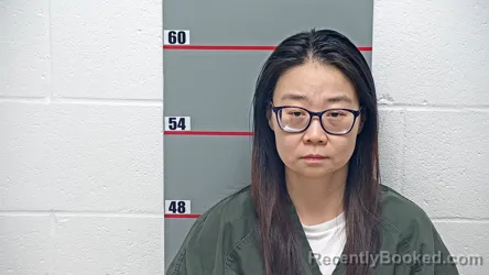 Mugshot of YAWEN NIU