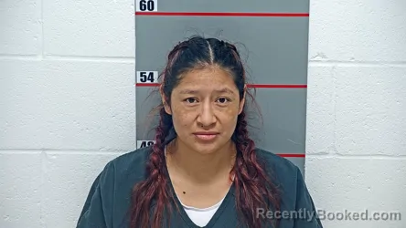 Mugshot of ROSA Sarmiento-Celdo