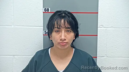 Mugshot of LUZ GONZALEZ-BAUTISTA