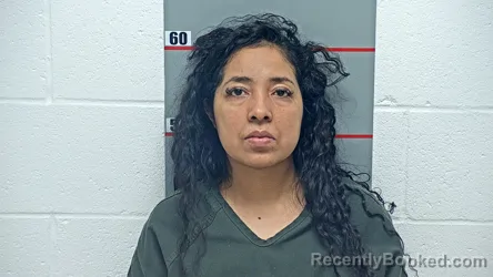 Mugshot of ENCARIS  YECENIA LIRA