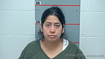 Mugshot of CLAUDIA FLORES ORTIZ