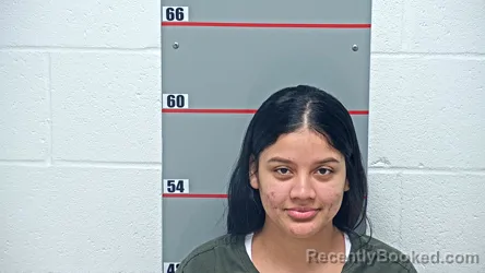 Booking photo from Grayson County, Kentucky