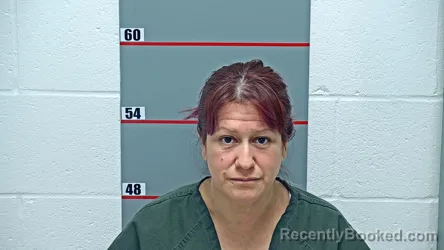 Booking photo from Grayson County, Kentucky