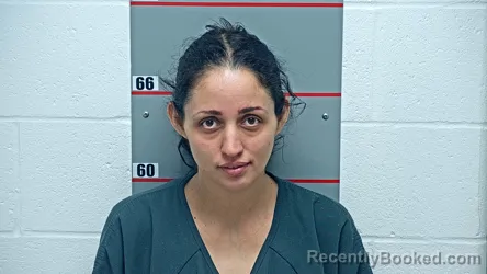 Mugshot of VIRDIANA QUEZADA-JAIME