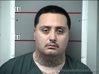 Mugshot of JOSE A LEON