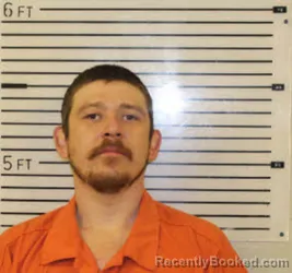 Mugshot of MATTHEW DELAYNE PARKER