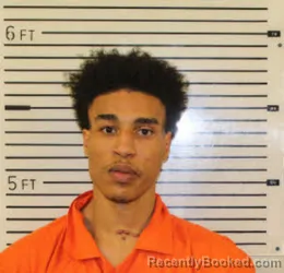Mugshot of TREVION KORTEZ COLLINS