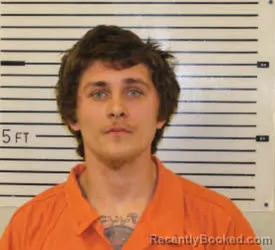 Mugshot of JIMY LEE HANSON