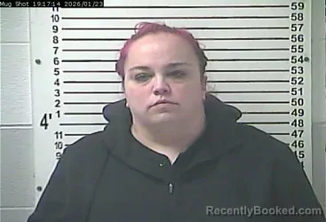 Mugshot of AMY LYNN HISLE