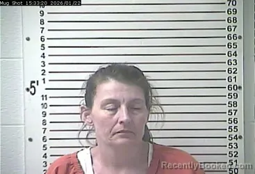 Mugshot of AMY LYNN HARP