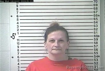 Mugshot of AMANDA GENE PHILLIPS