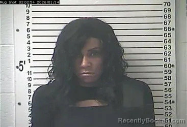 Mugshot of BRITTANI DANIELLE ENGLISH