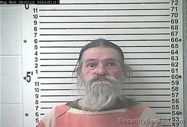 Mugshot of BILLY JOE LANDS