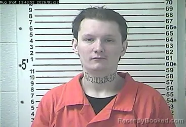 Mugshot of CHRISTIAN ROBERT CAMERON