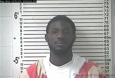 Mugshot of CYSHAWN LURICE JONES