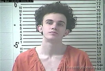 Mugshot of COLE REID SIMPSON
