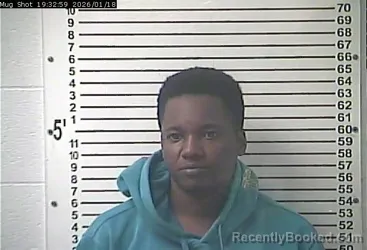 Mugshot of CHERELLE YVETTE WILLIAMS