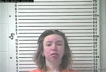 Mugshot of DAKOTA HALEY MOLLETT