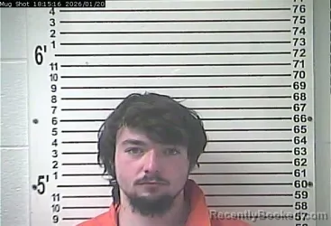 Mugshot of DAYTON JAMES SKELTON