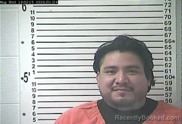 Mugshot of ISAEL FLORES ALVEREZ