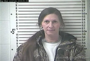 Mugshot of JILLIAN KAY BROOKS