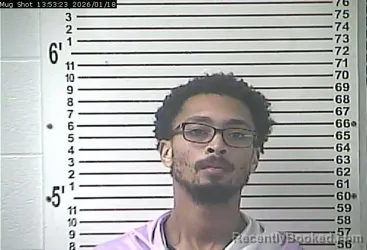 Mugshot of JAVION KEYSHAUN FOX SUGGS