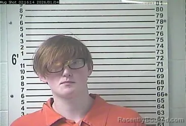Mugshot of LAYNE THOMAS HERRING