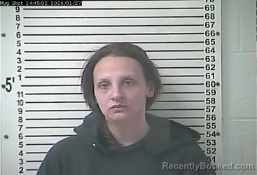 Mugshot of MACHELLE LEE BLEVINS